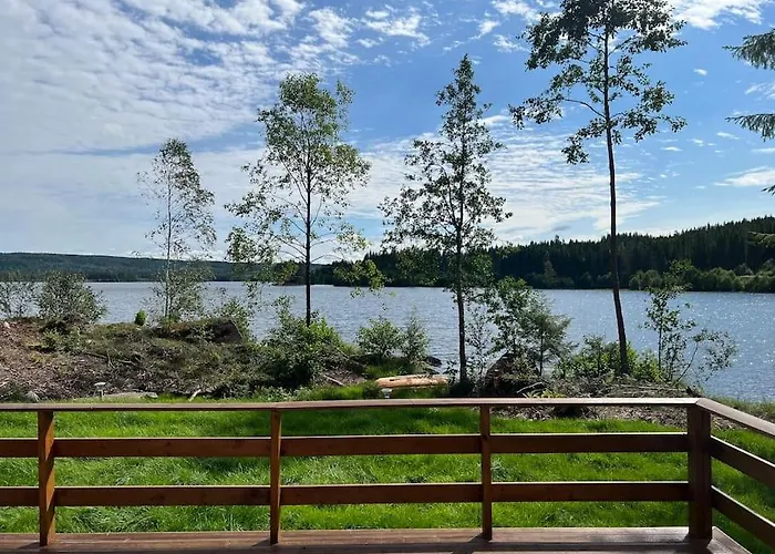 Water Front Scandinavian Forest View With No Neighbors *